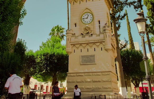 Parras de la Fuente Private Winery Tour - Photo 6