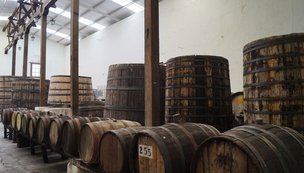 Tour privado de viñedos y bodegas - Foto 2