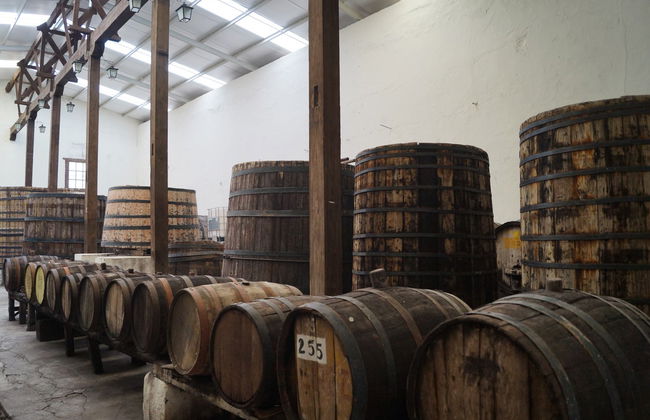 Parras de la Fuente Private Winery Tour - Photo 1