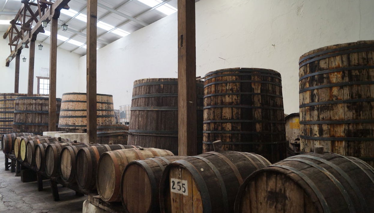 Parras de la Fuente Private Winery Tour - Photo 1