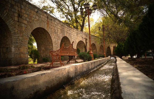 Parras de la Fuente Private Winery Tour - Photo 3