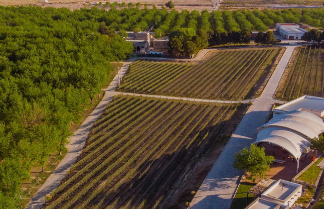Parras de la Fuente Private Winery Tour - Photo 8