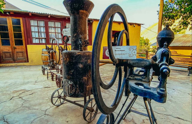 Tour del pisco por el Alto Elqui - Foto 10
