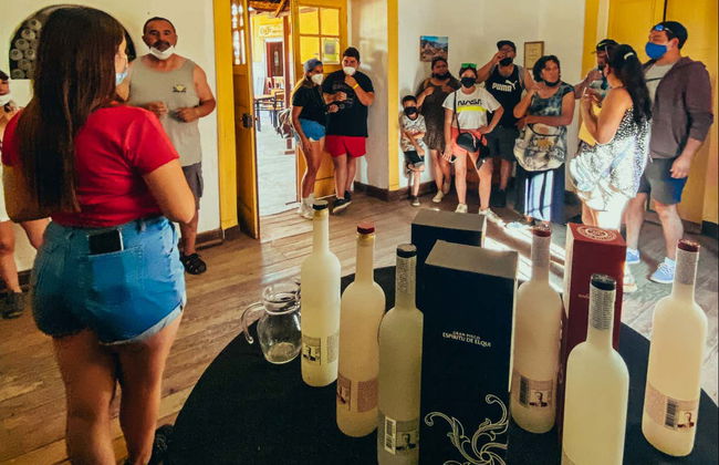 Tour del pisco por el Alto Elqui - Foto 8