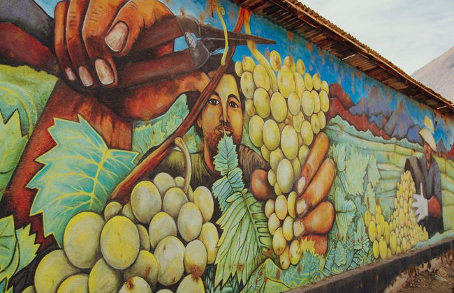 Alto Elqui Pisco Tour - Photo 5