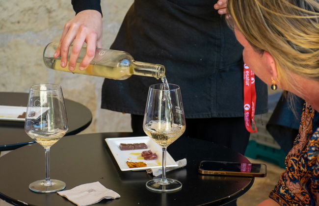Degustación de vinos en el castillo de Santa Bárbara - Foto 2