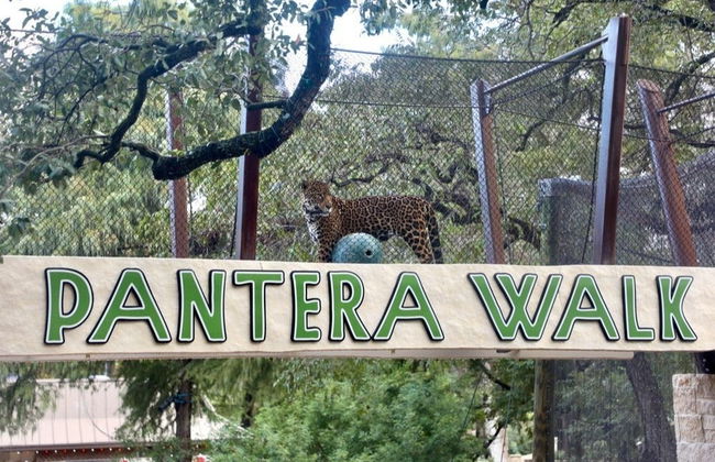 San Antonio CityPASS ® - Foto 7