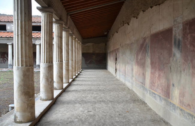 Biglietti per la villa romana di Oplontis - Foto 7