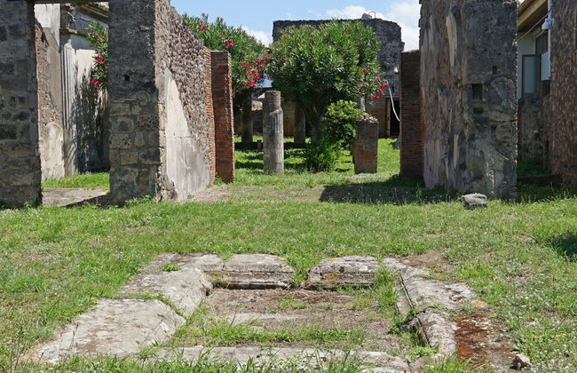 Biglietti per la villa romana di Oplontis - Foto 2