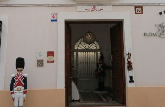Entrada al Museo de Soldaditos de Plomo PlomHist - Foto 8