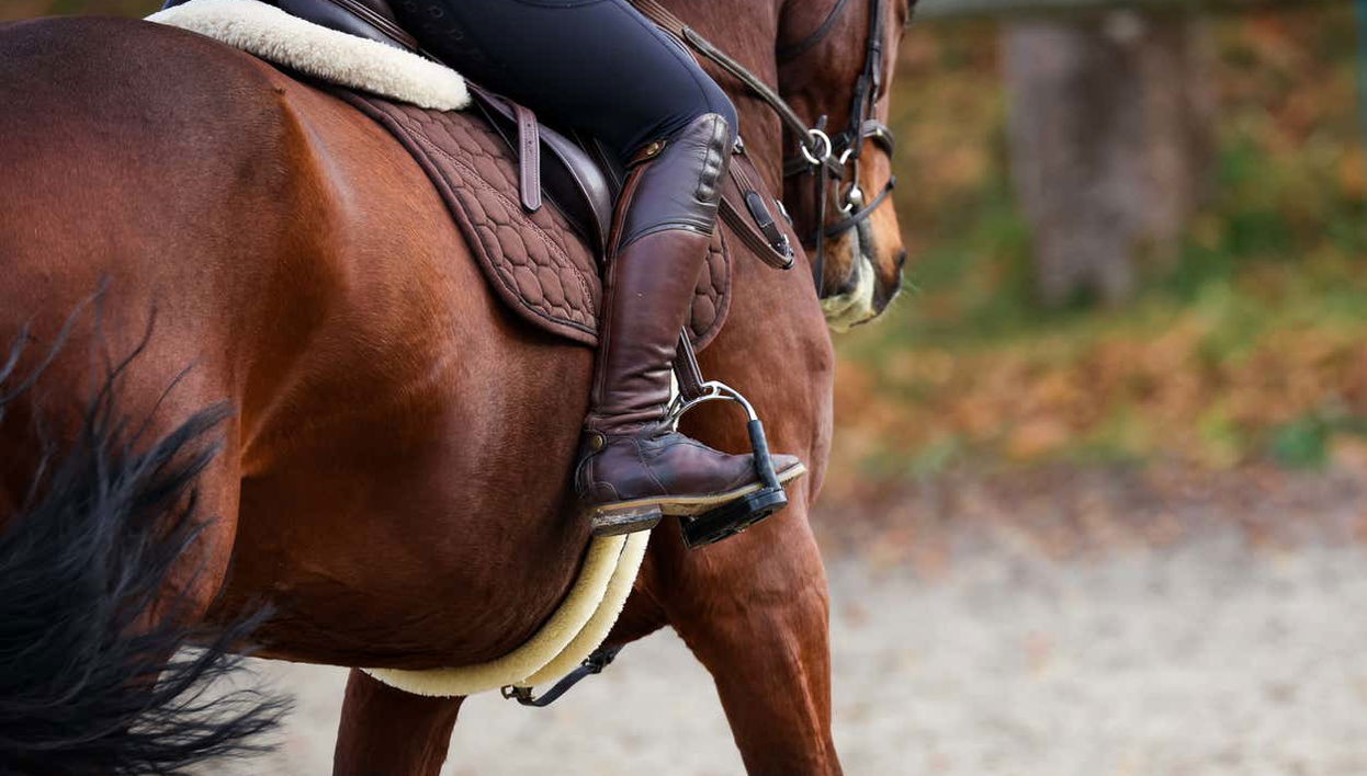 Horseshoe Bend Horse Riding - Foto 1