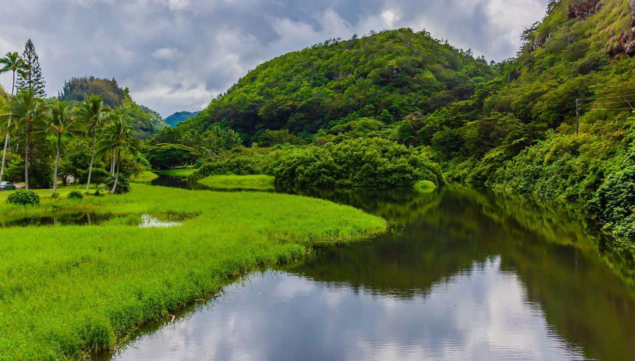 Waimea Waterfall Hiking Tour - Foto 1