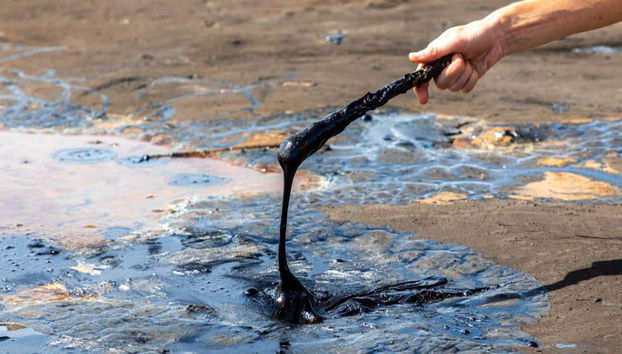 Excursión al templo sobre el Mar y el lago de la Brea - Foto 2