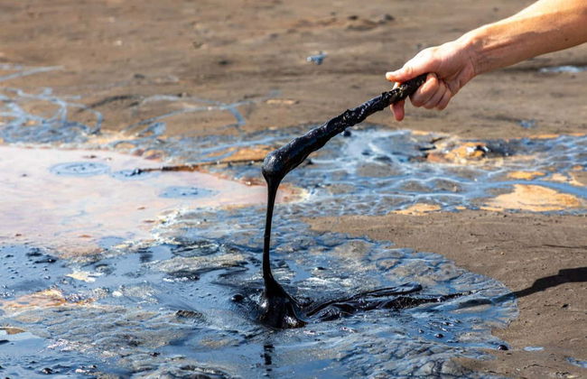 Excursión al templo sobre el Mar y el lago de la Brea - Foto 2