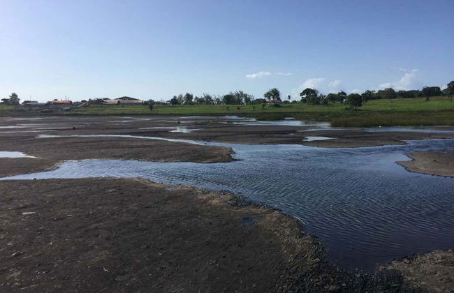 Excursión al templo sobre el Mar y el lago de la Brea - Foto 1