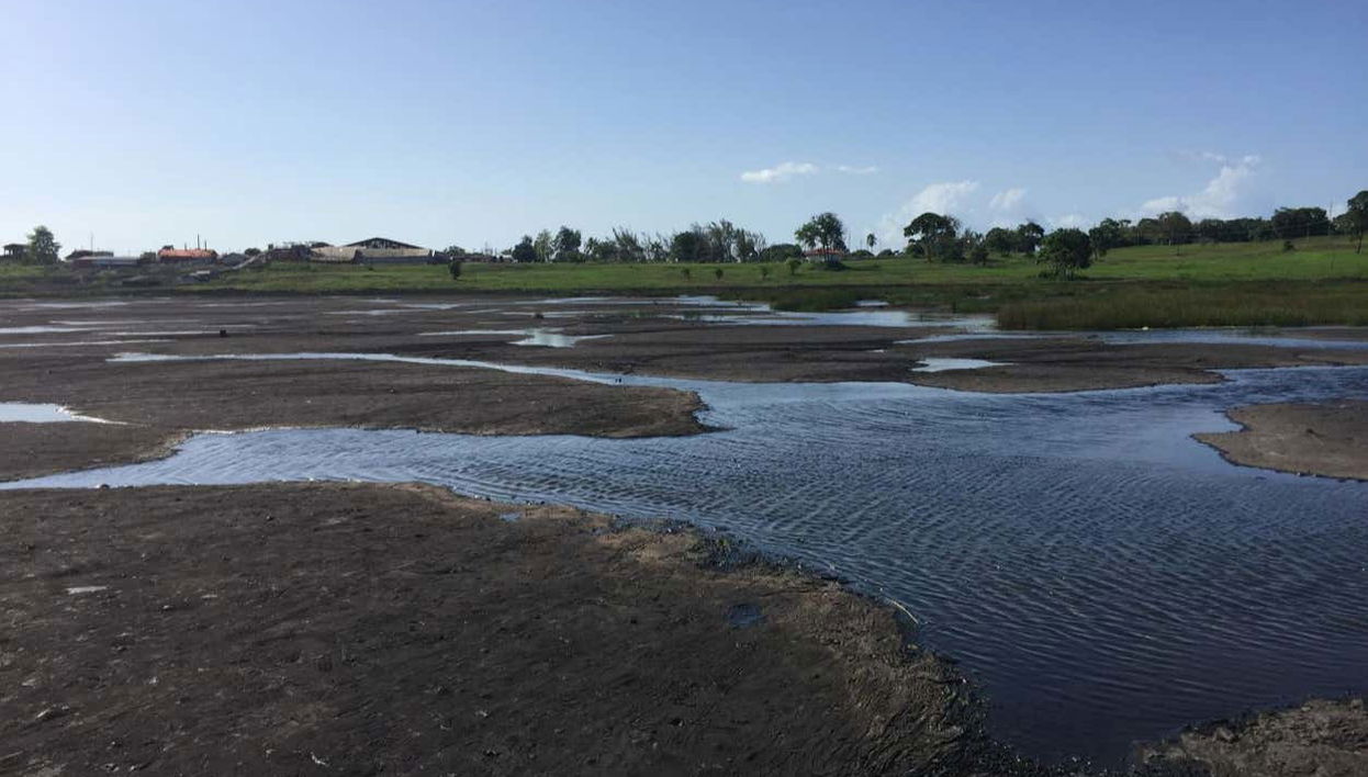 Excursión al templo sobre el Mar y el lago de la Brea - Foto 1
