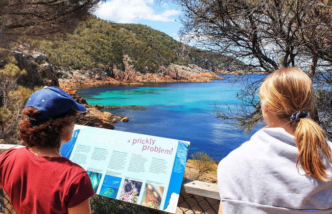 Excursión a Wineglass Bay y Freycinet - Foto 9