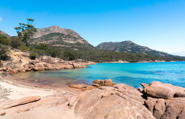 Excursión a Wineglass Bay y Freycinet - Foto 10