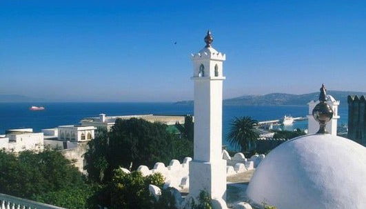 Excursión a Tánger en tren de alta velocidad - Foto 2