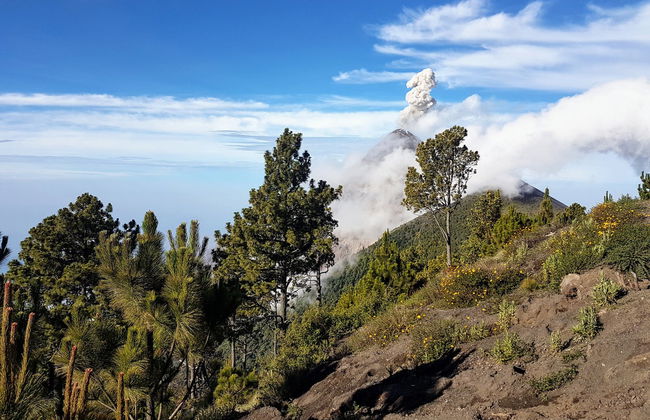 Acatenango Volcano 2-Day Trekking Route - Photo 6
