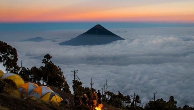 Trek de 2 jours sur le volcan Acatenango - Photo 5