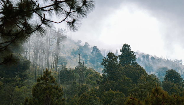 Trek de 2 jours sur le volcan Acatenango - Photo 3