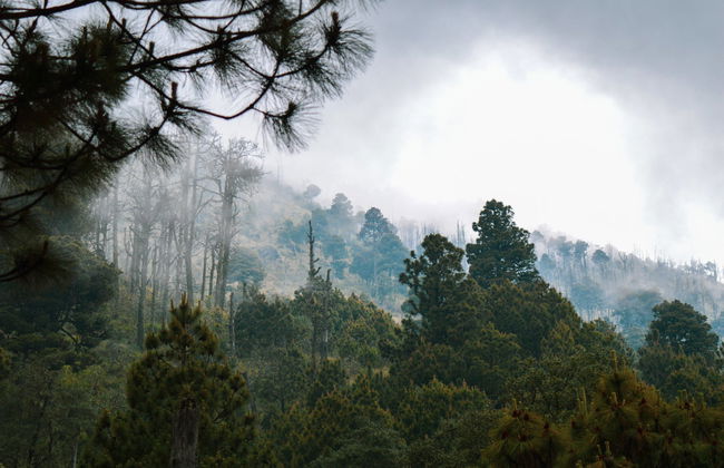 Acatenango Volcano 2-Day Trekking Route - Photo 3