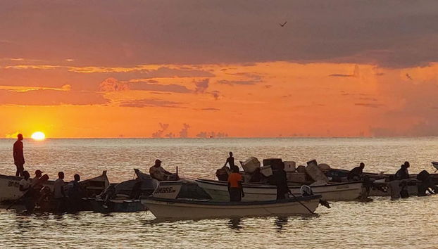 Tour en lancha por Bahía de las Águilas + Piscina Natural Timanye - Foto 3