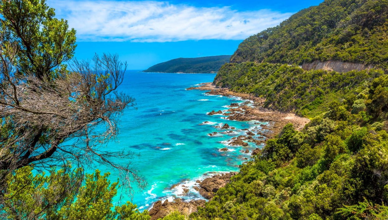 Excursión privada a la Gran Carretera del Océano - Foto 1