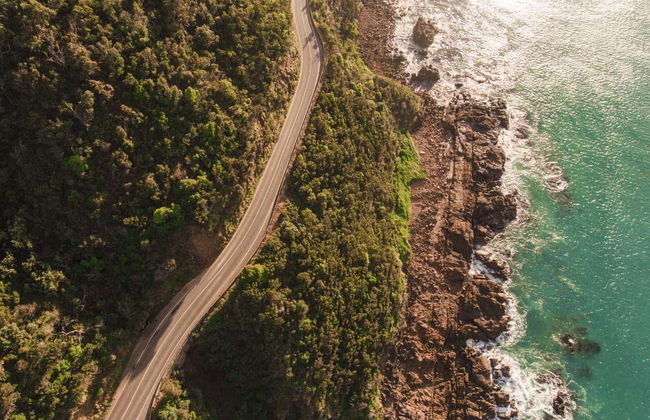 Excursión privada a la Gran Carretera del Océano - Foto 4