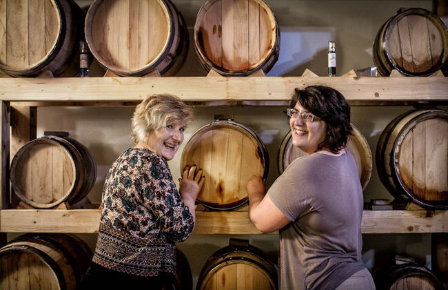 Visita a una cantina con degustazione di formaggio e vino umbro - Foto 3