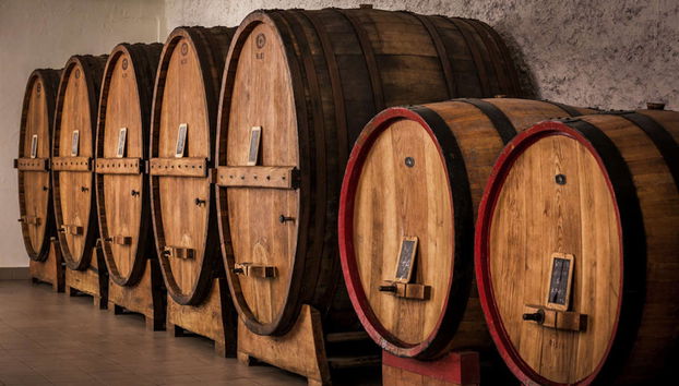 Visita a una cantina con degustazione di formaggio e vino umbro - Photo 4