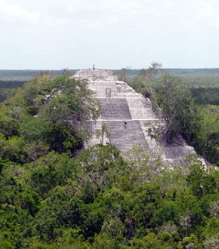 Foto de Calakmul Tour