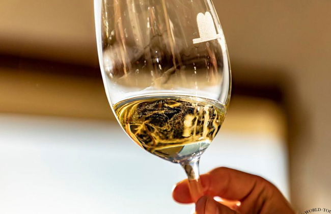 Ruta del chacolí en Bilbao con visita al Museo del Txakoli y degustación - Foto 1