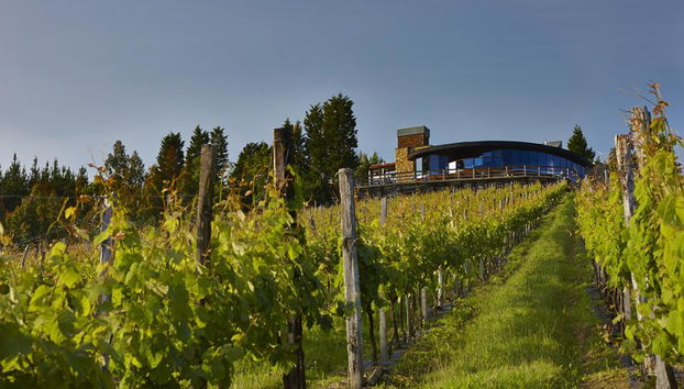 Ruta del chacolí en Bilbao con visita al Museo del Txakoli y degustación - Foto 2