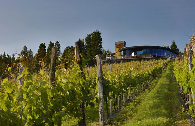 Ruta del chacolí en Bilbao con visita al Museo del Txakoli y degustación - Foto 2