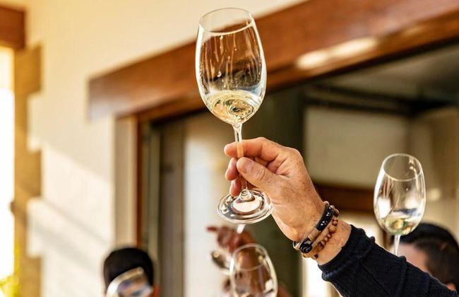 Ruta del chacolí en Bilbao con visita al Museo del Txakoli y degustación - Foto 4