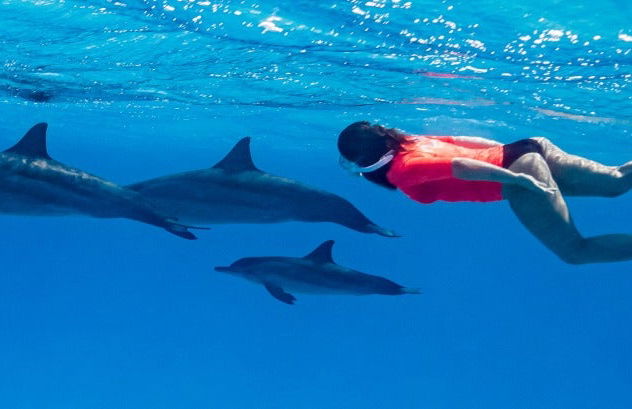 Passeio de barco por Sataya Reef + Snorkel com golfinhos - Foto 7