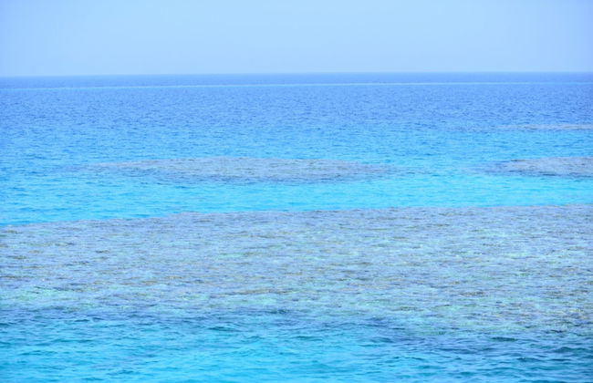 Passeio de barco por Sataya Reef + Snorkel com golfinhos - Foto 4