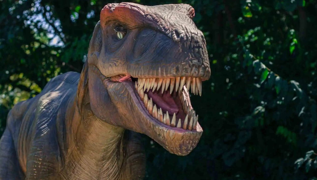 Excursión a las cuevas dels Hams y Dinosaurland - Foto 1