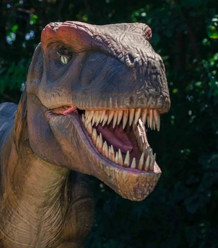 Foto de Excursión a las cuevas dels Hams y Dinosaurland