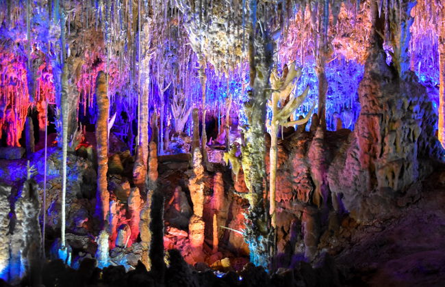 Excursión a las cuevas dels Hams y Dinosaurland - Foto 7