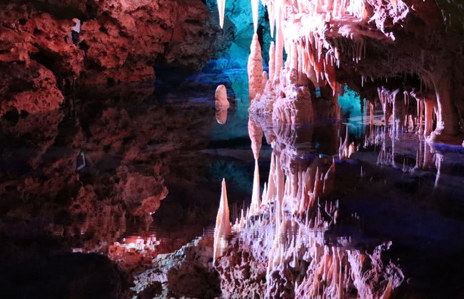 Excursión a las cuevas dels Hams y Dinosaurland - Foto 4