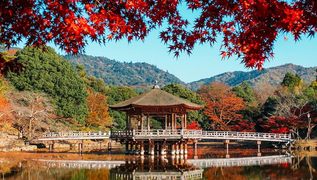 Nara & Uji Day Trip - Photo 3