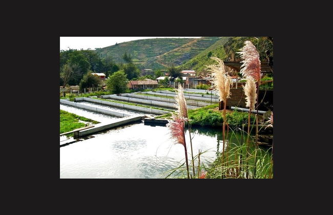 Tour por el valle del Mantaro - Foto 2
