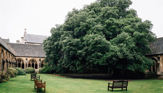 Tour di Harry Potter a Oxford - Foto 4
