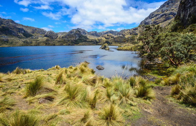 Excursión al Parque Nacional Cajas y al Cacao de la Loma finalizando en Guayaquil - Foto 2