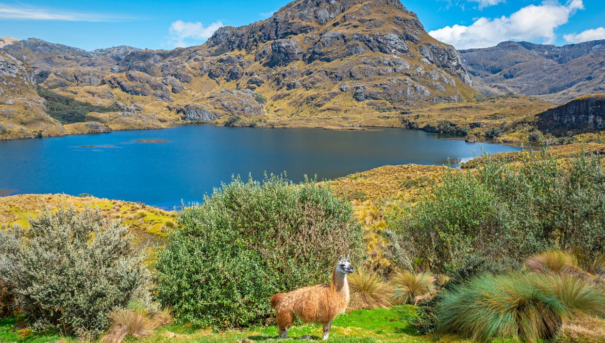 Excursión al Parque Nacional Cajas y al Cacao de la Loma finalizando en Guayaquil - Foto 1