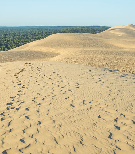 Foto - Escursione ad Arcachon e alla Duna di Pilat + Degustazione di ostriche