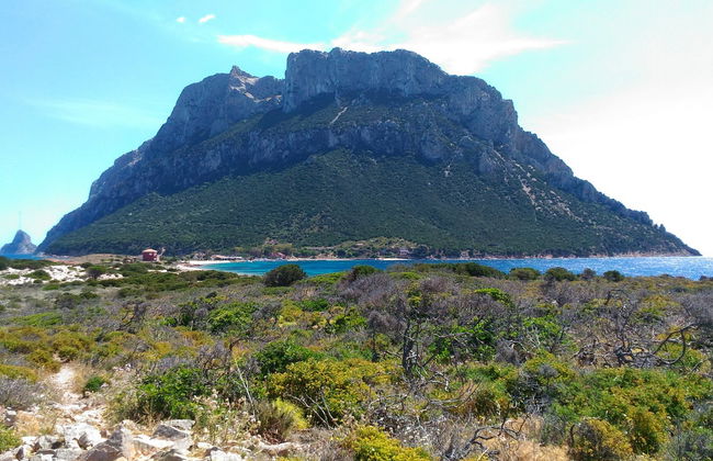 Tavolara & Punta Coda Cavallo Boat Trip - Photo 2